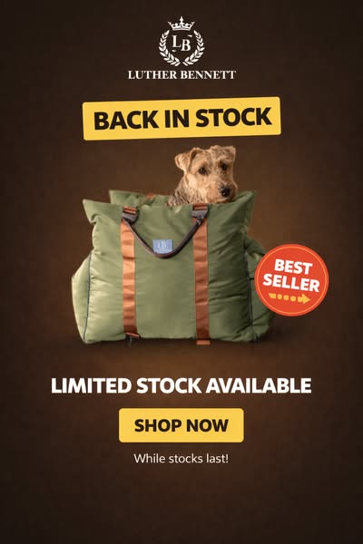 Stress-Free Travel for Your Pet