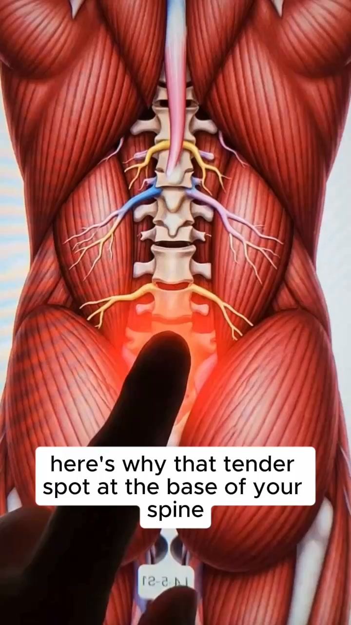 The Back Pain Most Doctors Get Wrong