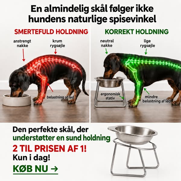 Smid plastikken ud. Opgrader spisetiden.