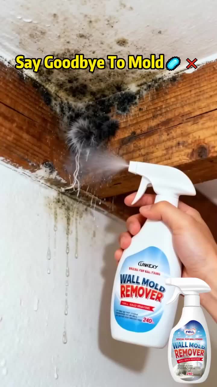 Mold Be Gone in Minutes!