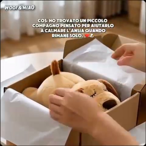 Spedizione Gratuita