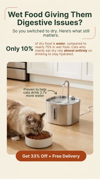 For Cats Who Can't Tolerate Wet Food