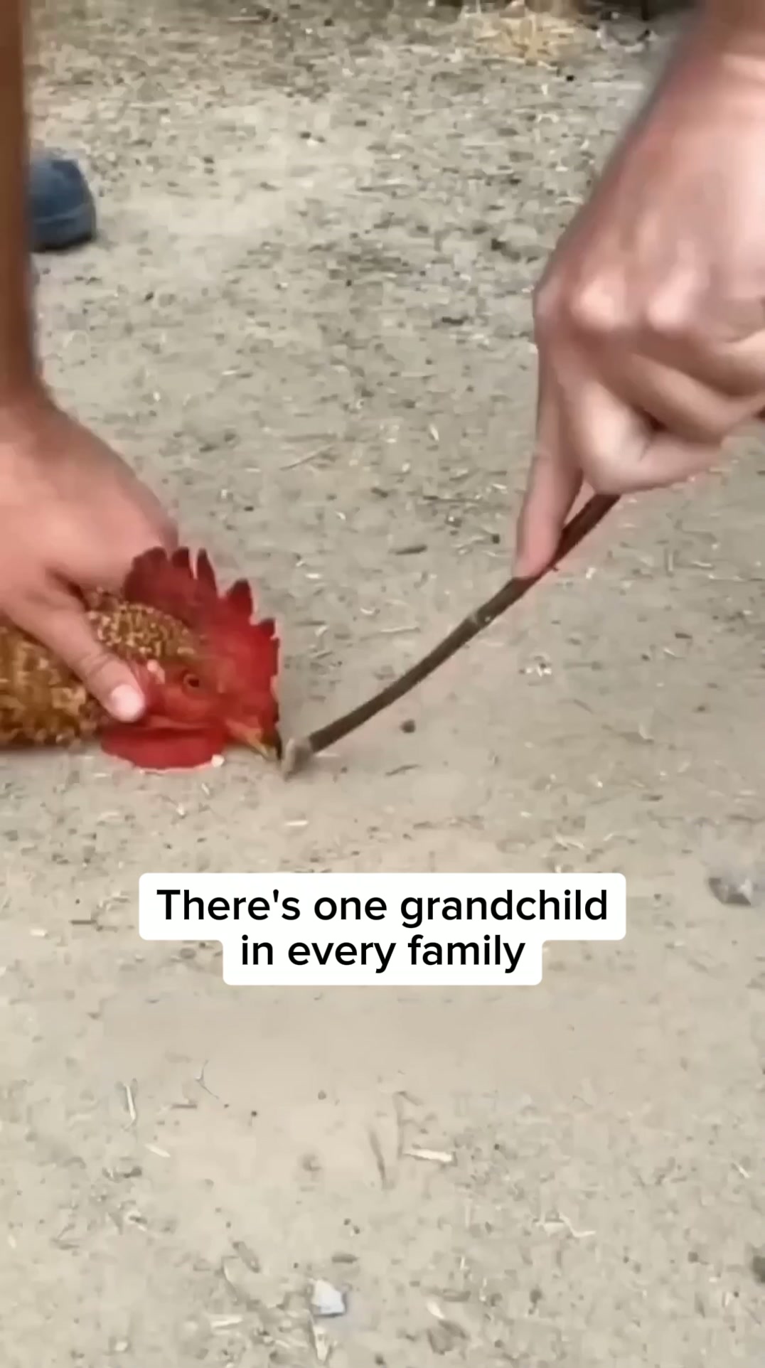 Give Your Child a Head Start