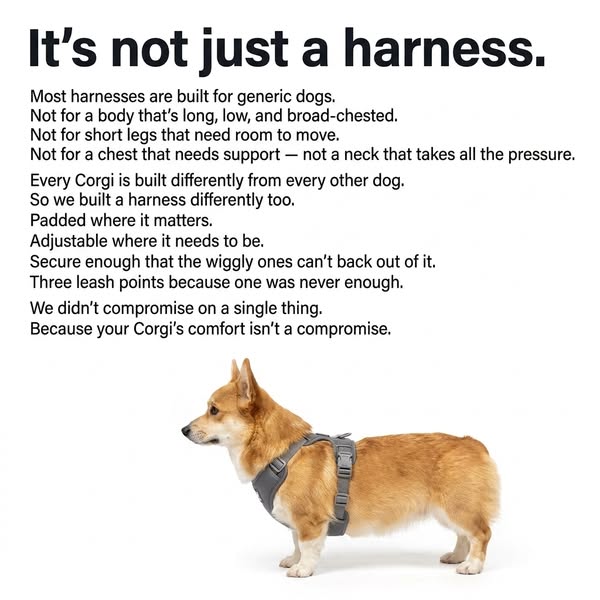 Built for Corgis