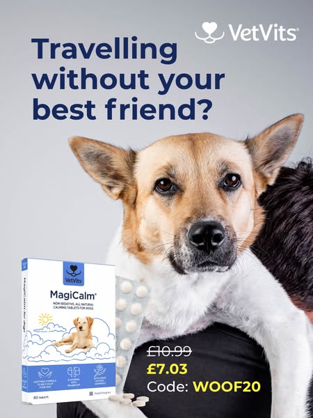 Natural Supplement for Anxious Dogs