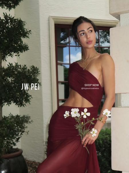 Mia Pleated Mesh Dress - Burgundy – JW PEI UK