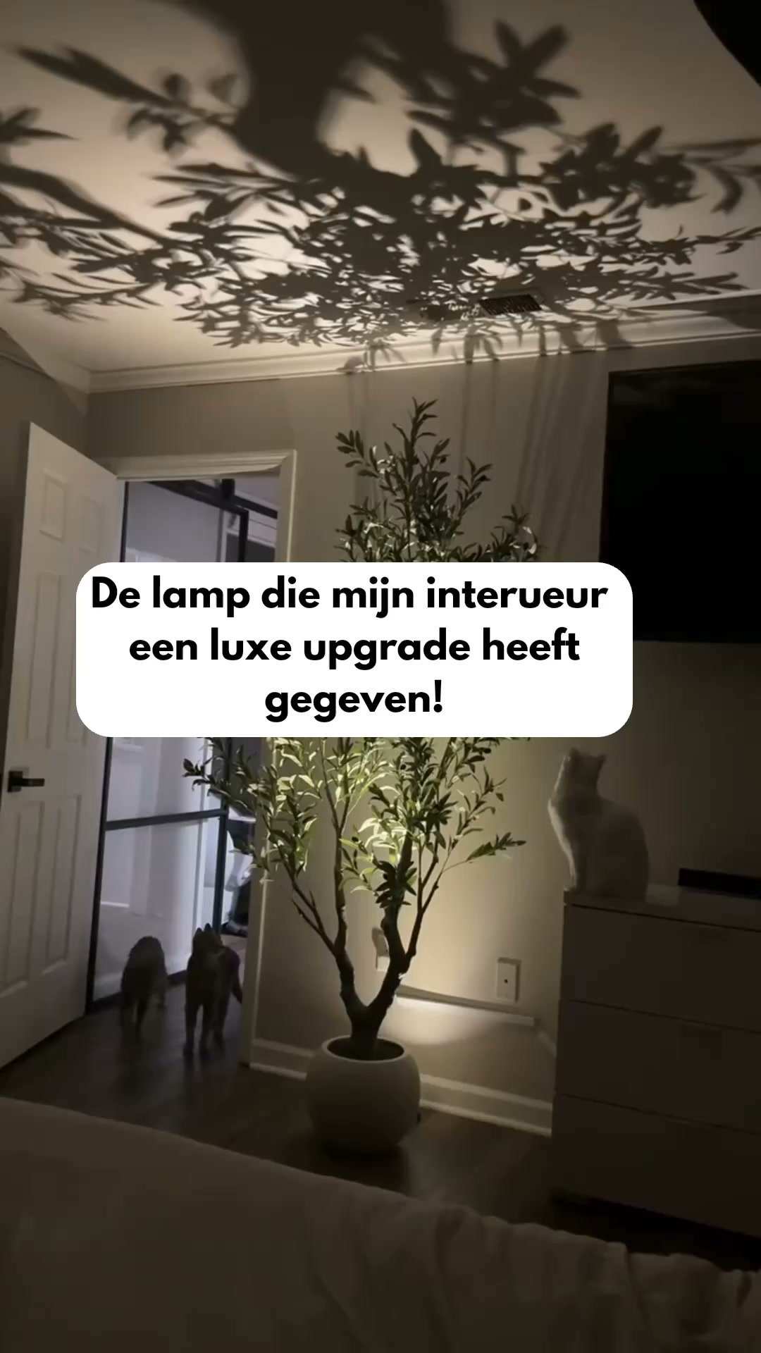 Geef je planten een upgrade