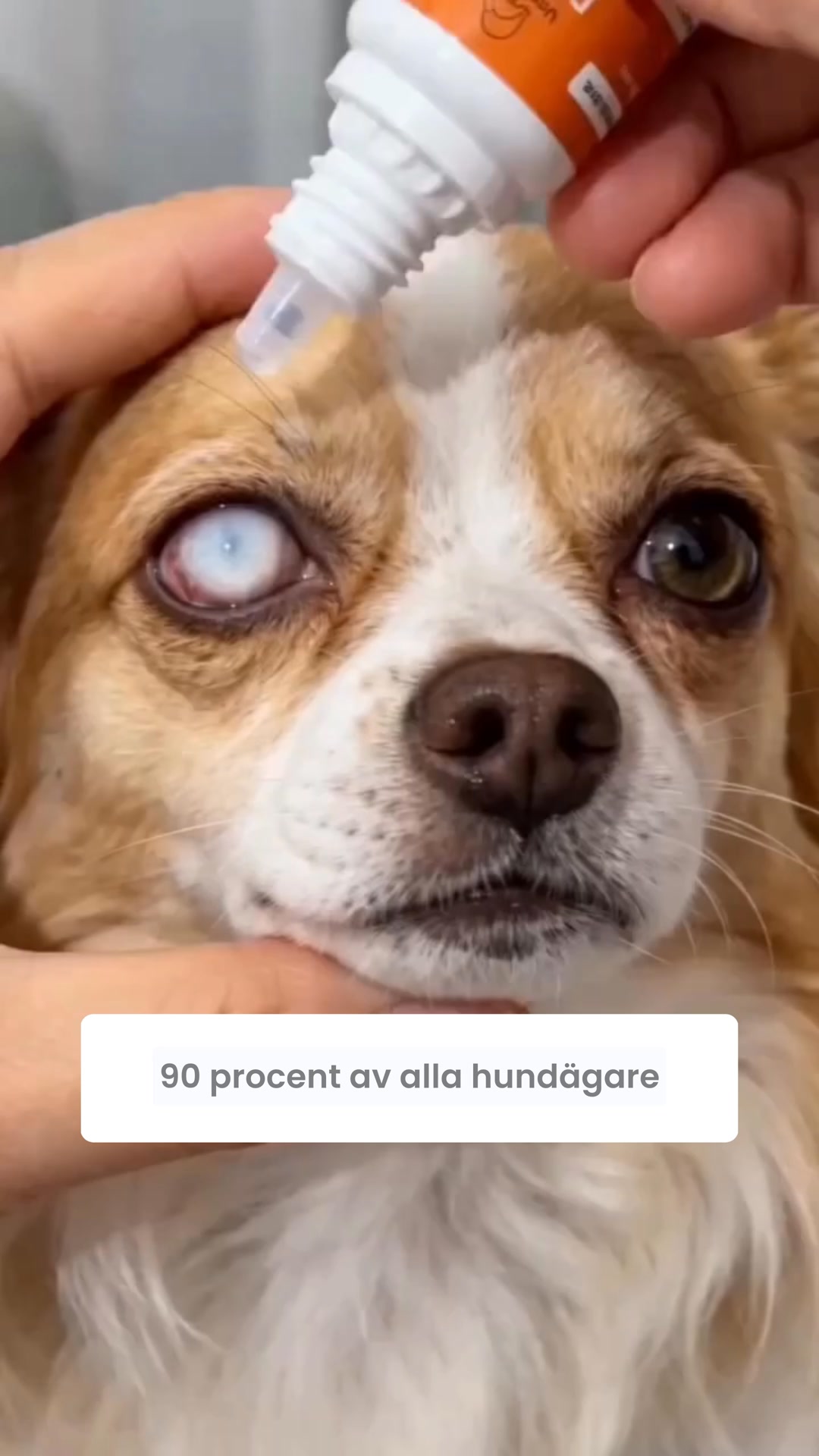 Du ser det varje dag och hoppas att det inte blir värre