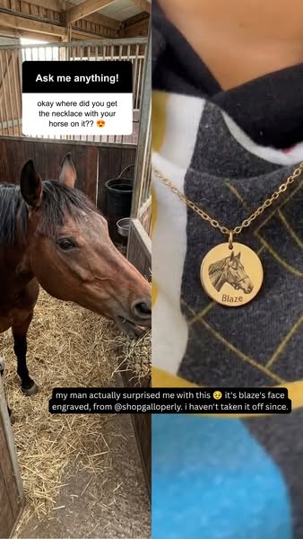 The perfect gift for your horse-loving girlfriend