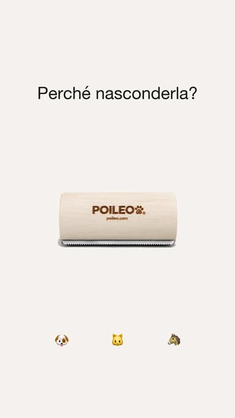 Un oggetto, non un attrezzo