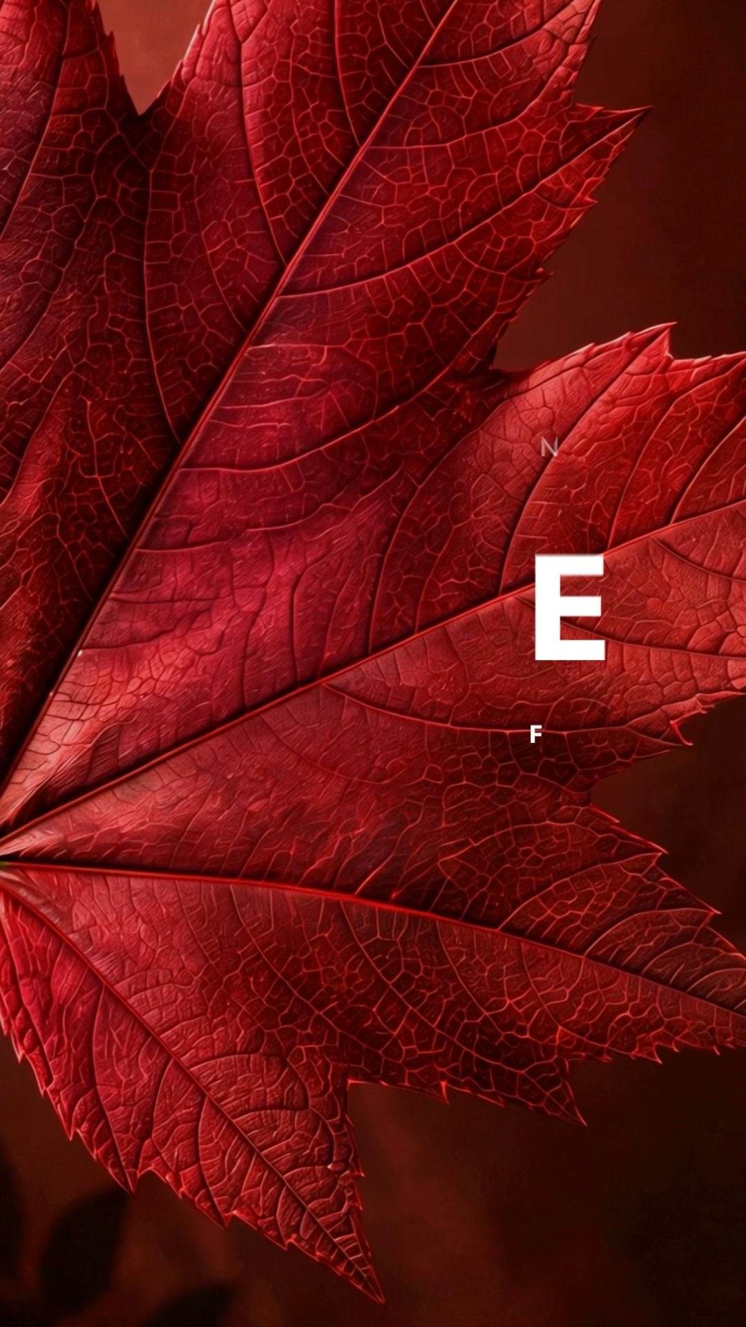 Dine & Save. Autumn Sale On Now!