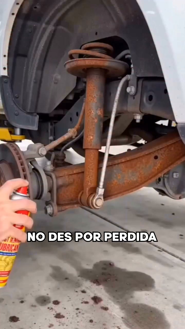 Envío Gratis: 24h y Pago Contrarrembolso