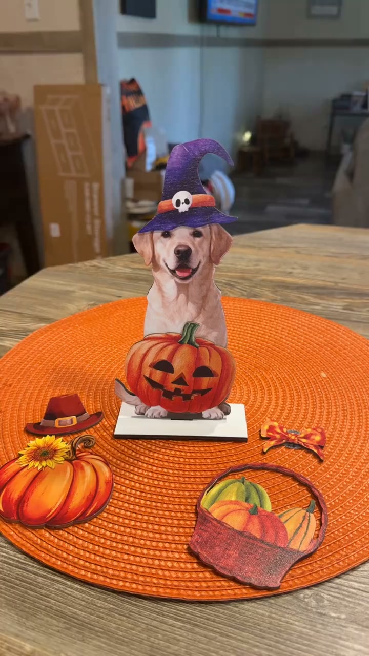 The Cutest All-in-One Dog Decor
