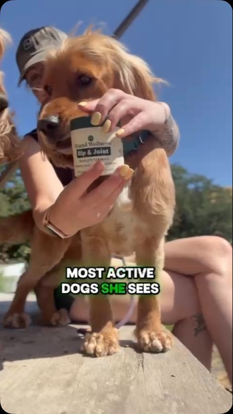 Anúncio de Hound Wellness