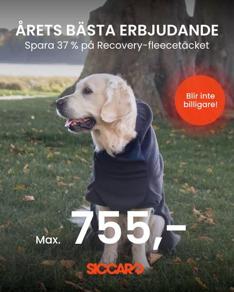 CRAZY AUTUMN: Spara upp till 50 % hos Siccaro