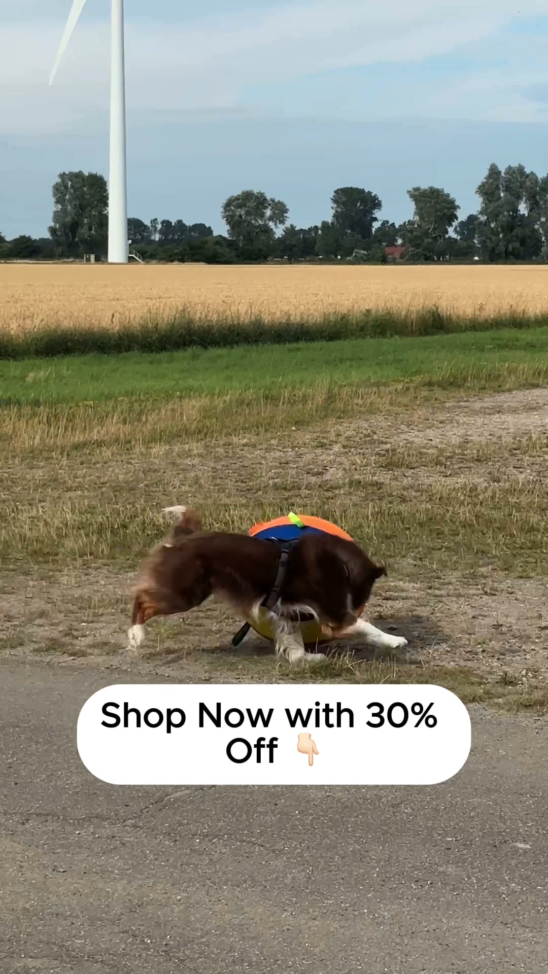 30% Off + Free Gift Today Only!