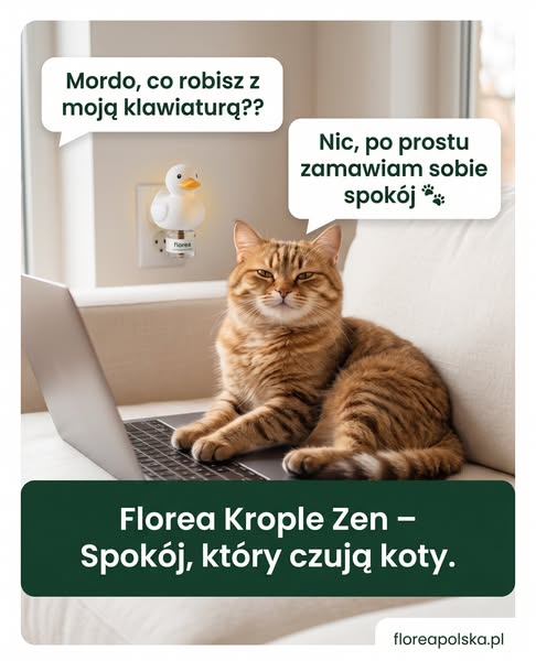 Sprawdź bez ryzyka — 30 dni gwarancji