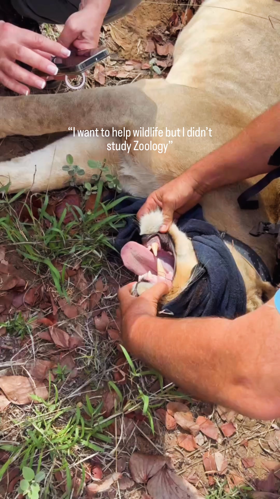Explore the Kruger Project today!