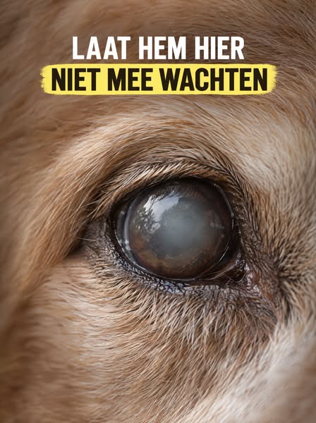 Je ziet het elke dag en hoopt dat het niet erger wordt.