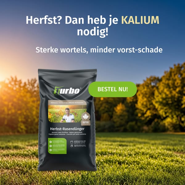 Je gazon redden na de zomer