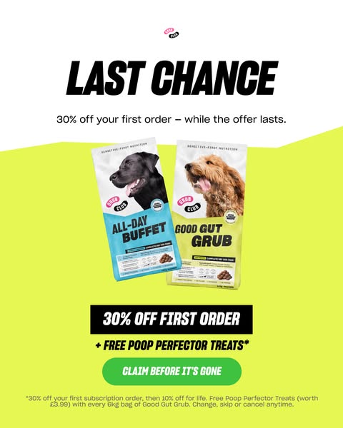 The last dog food you'll ever need