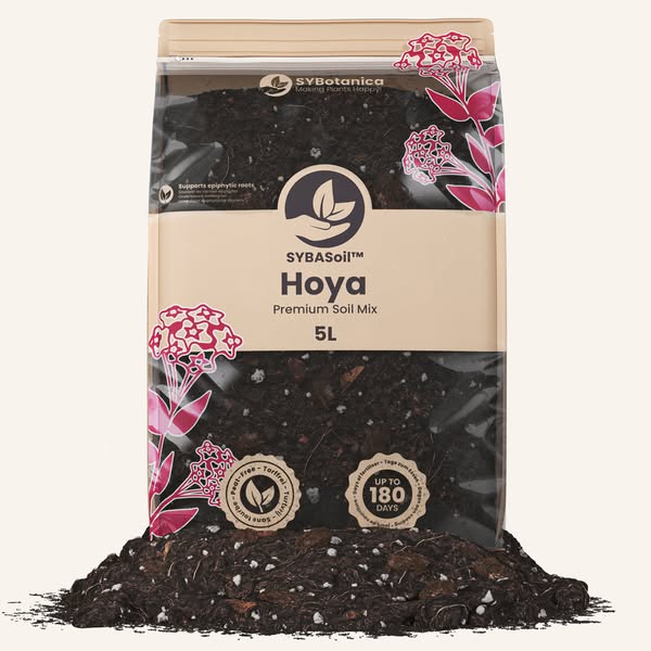 Hoya Mix