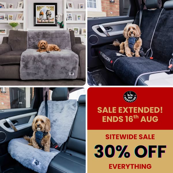 30% OFF