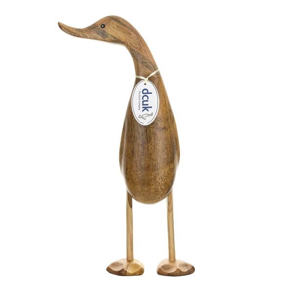 Natural Duck Pose 1