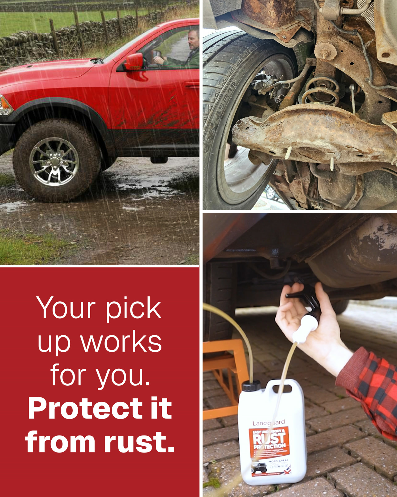 Protect before winter hits