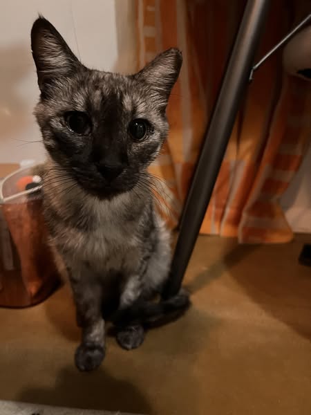 Is She Really “Just Getting Old”?