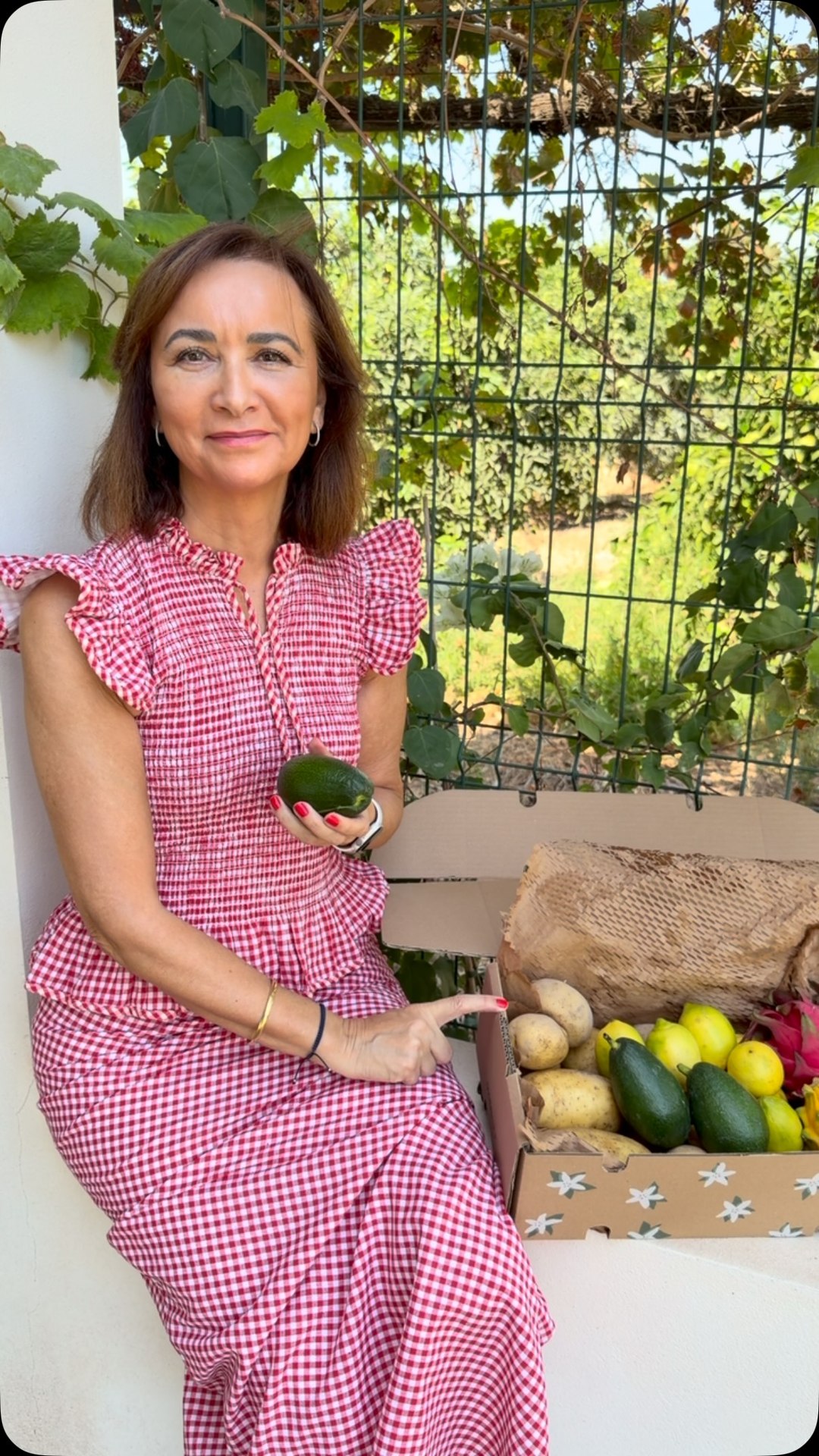 Anúncio de Frutas MAROL