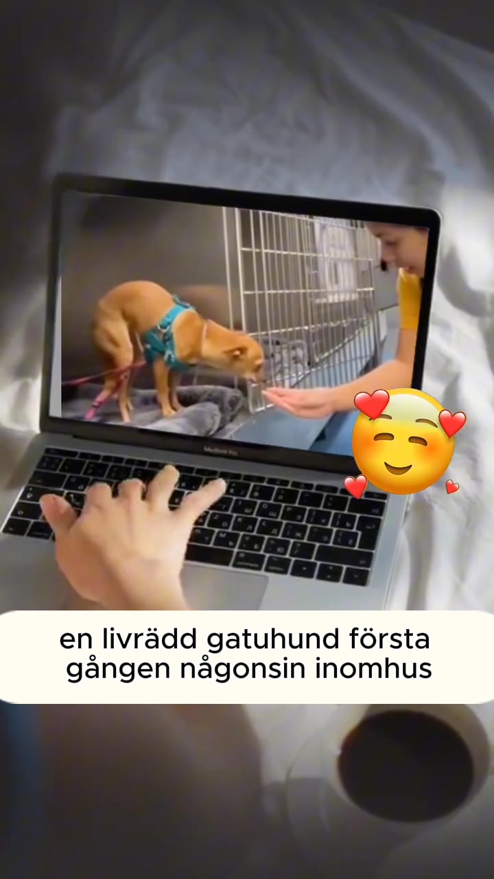 Gratis frakt + 200kr rabatt idag!