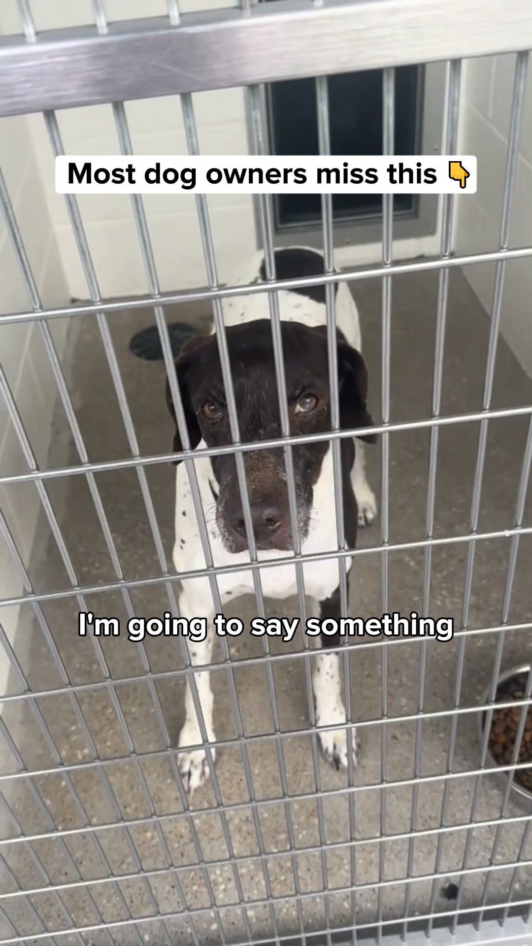 This is causing your dog's anxiety..