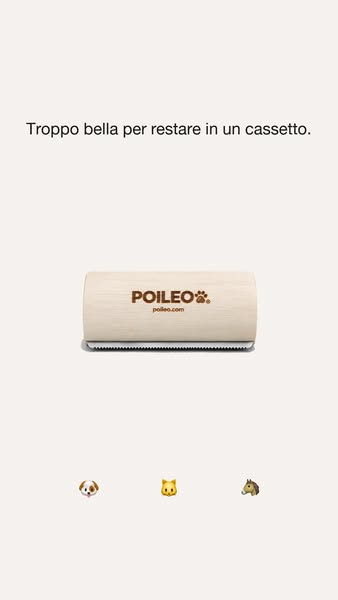 Non si nasconde in un cassetto