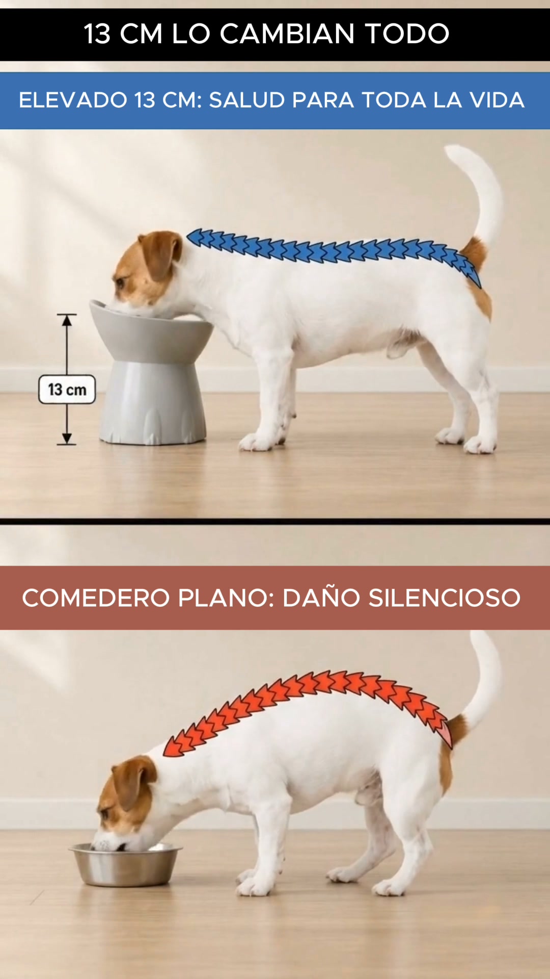 Comedero Elevado Inclinado