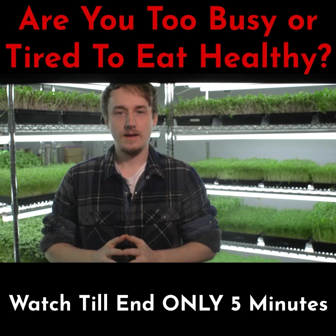 Order Natures "Fast Food" Today