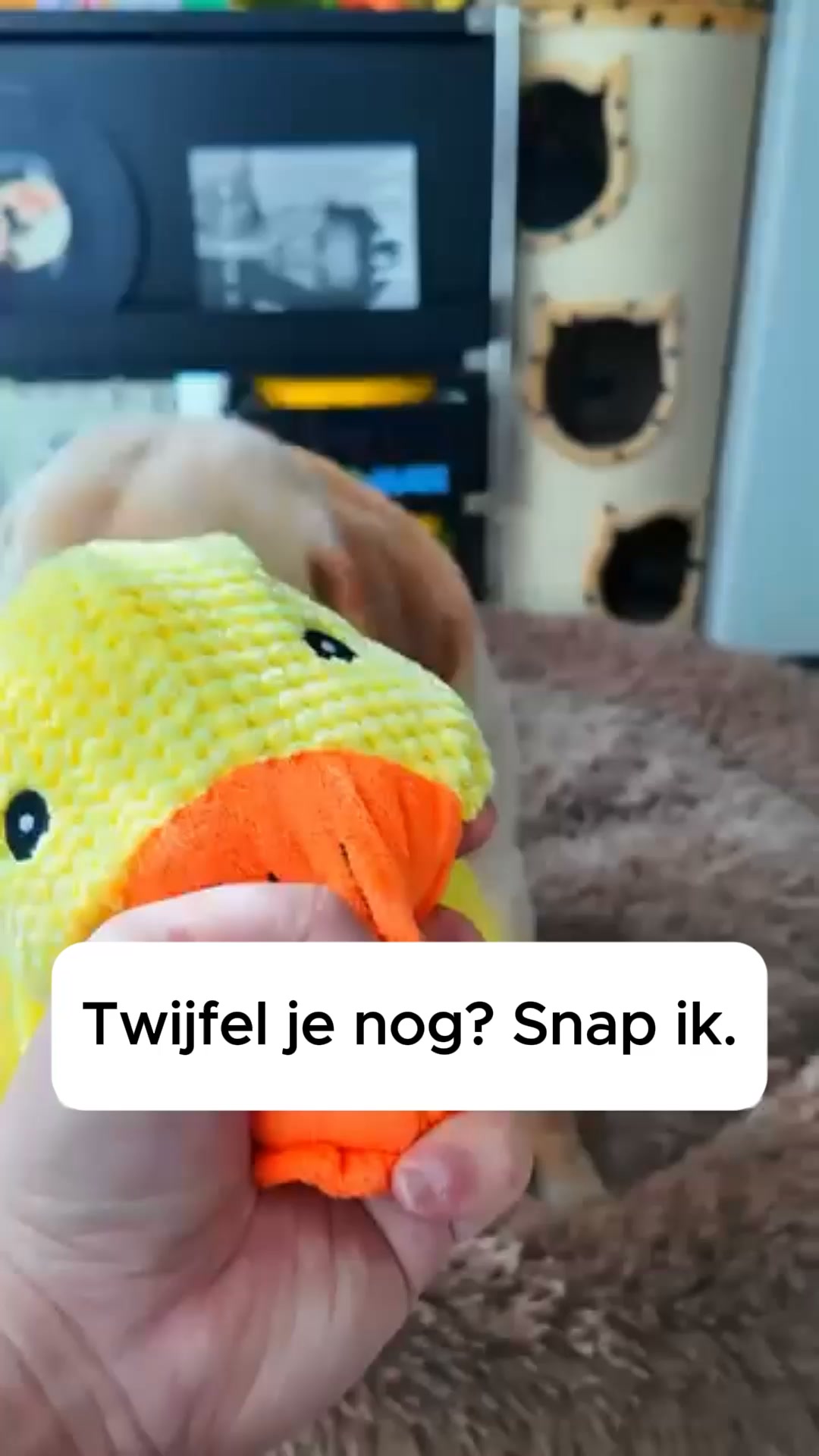 8.000+ tevreden baasjes