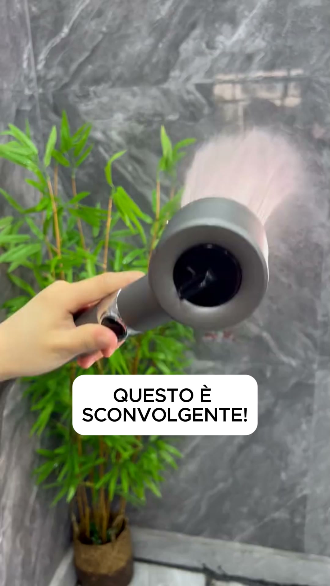 Spedizione Gratuita