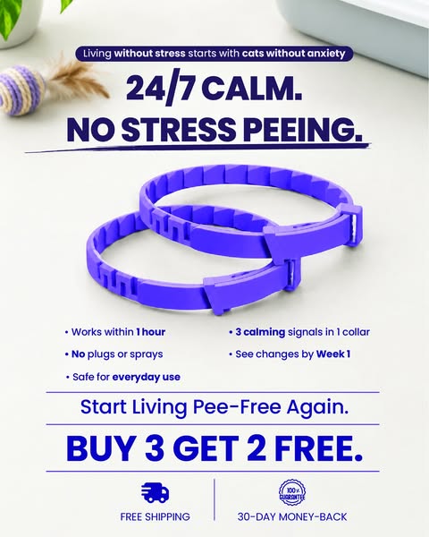 Calming Support That Goes With Your Cat