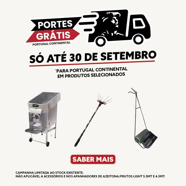 Colheita da Azeitona