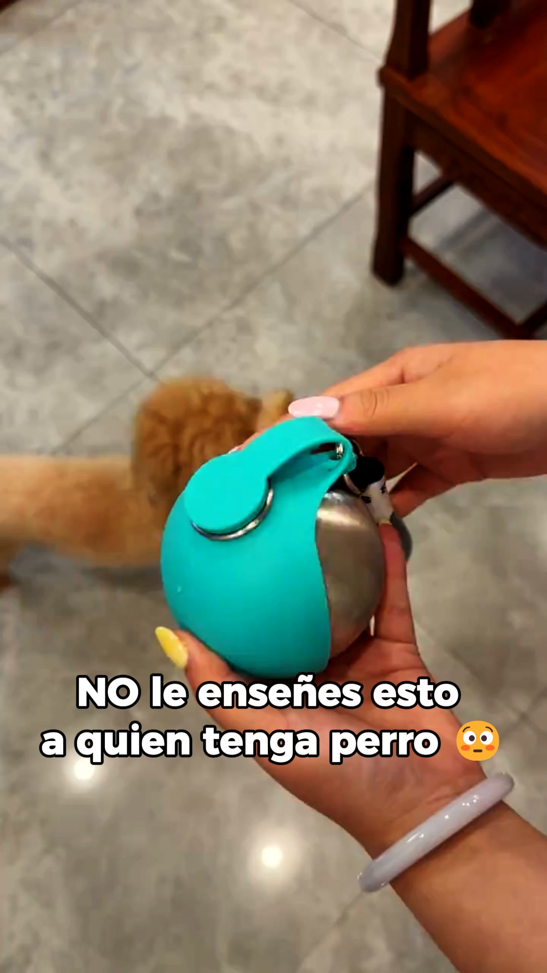100 días de garantía · Envío gratis