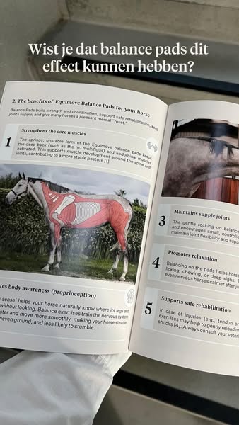 Versterkt de romp, buik- en rugspieren