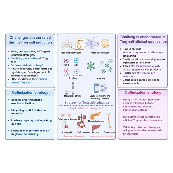 Regulatory T Cell Induction Strategies