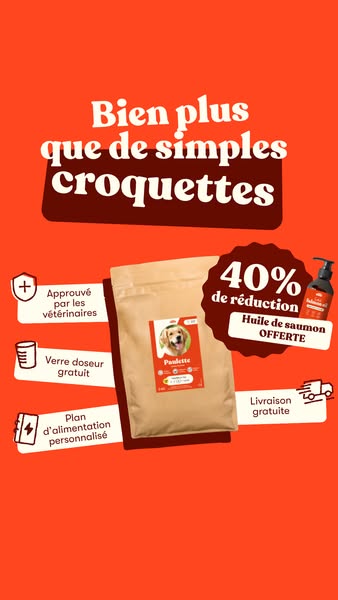 Offrez-lui le meilleur avec 40% de réduction