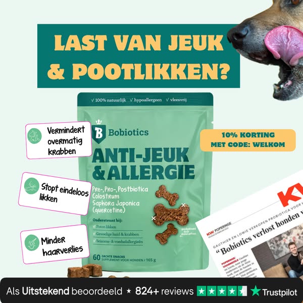 Nu Gratis Verzending & Gratis Cadeau