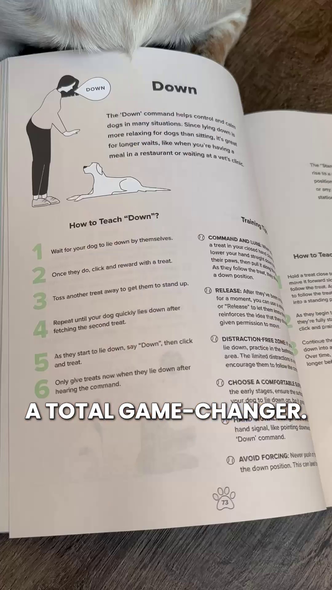 Get the revolutionary dog training book!