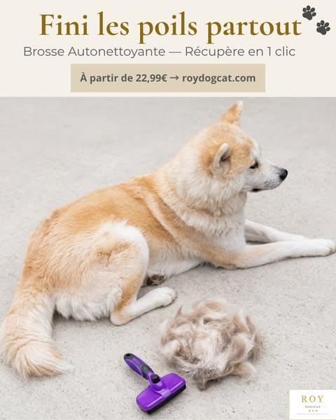 Brosse Autonettoyante — Récupère en 1 Clic
