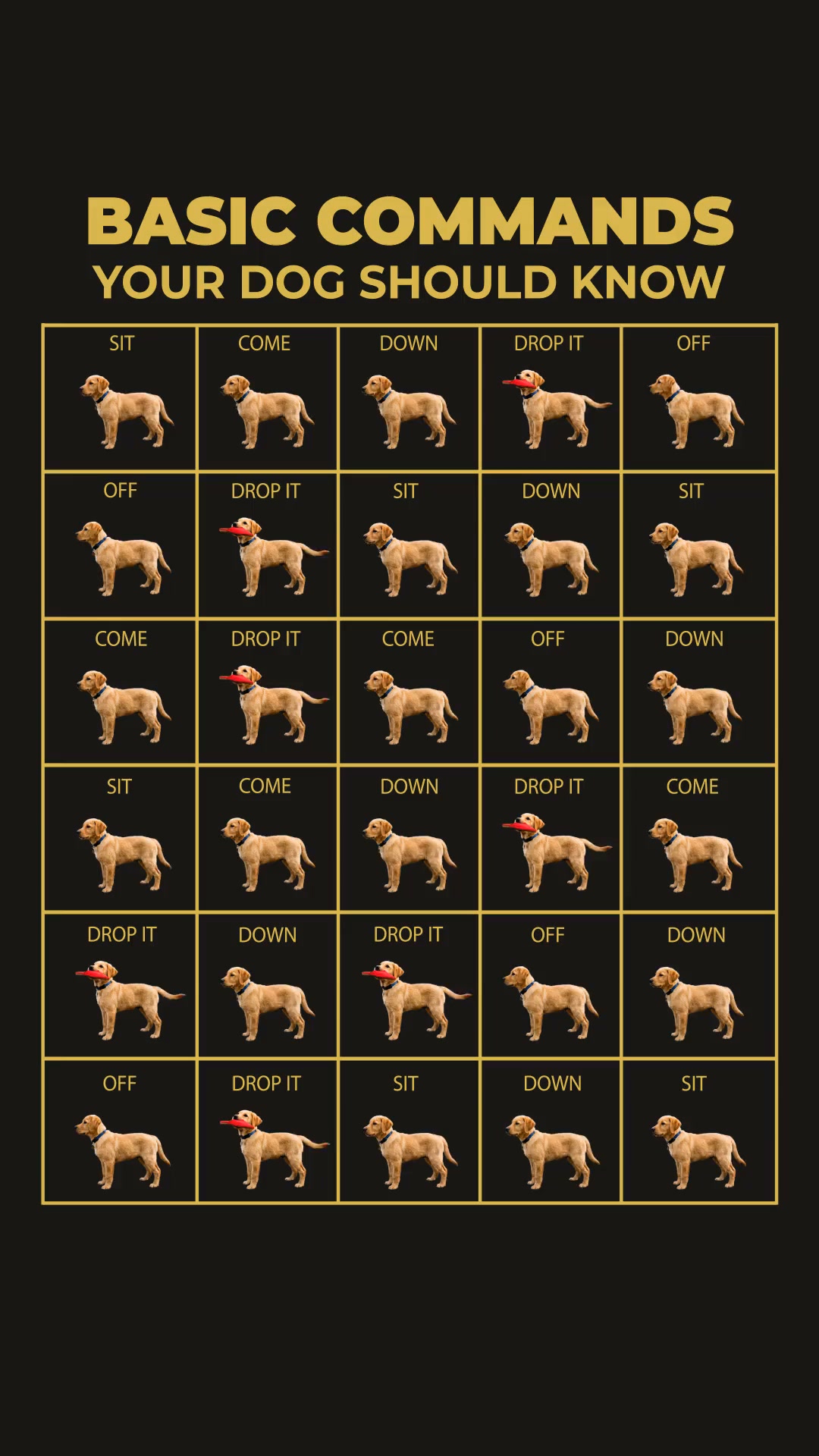 Professional Dog Training Made Simple