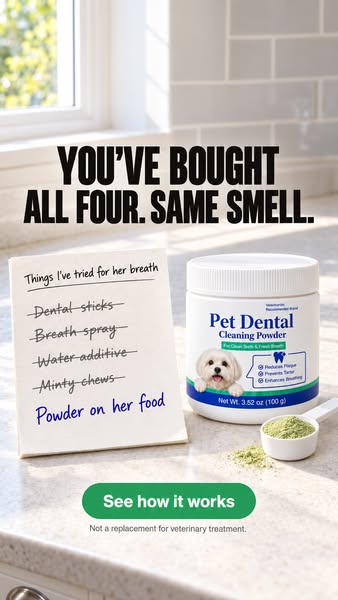 Fresh Breath That Doesn't Wear Off