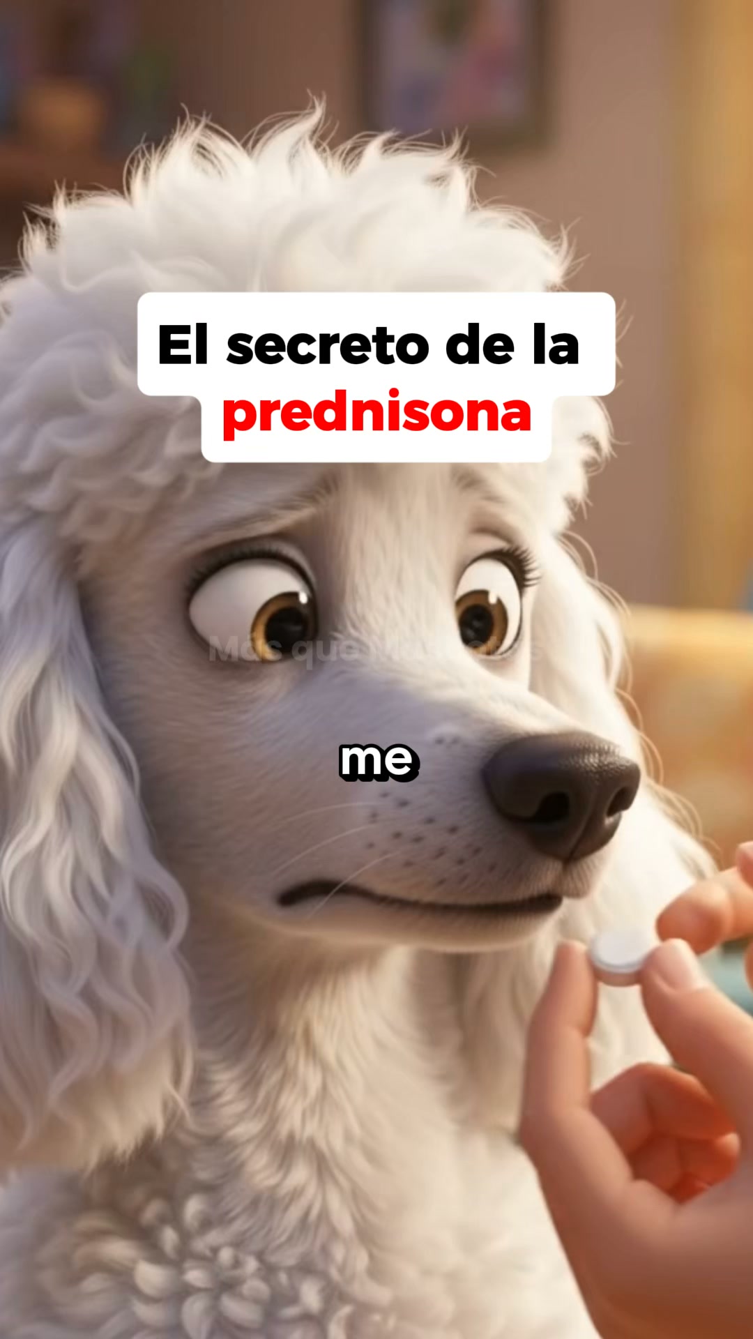 Esto es lo que uso